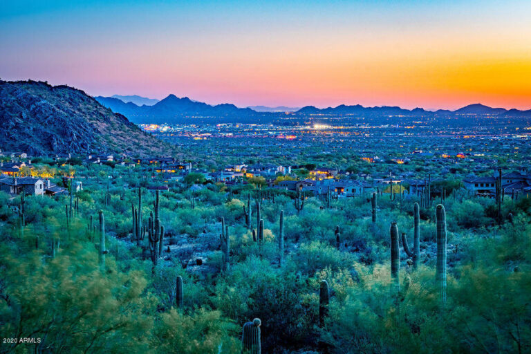 dessert landscape at night - buy a home with Phoenix and Scottsdale Realtor Sonoran Home Group